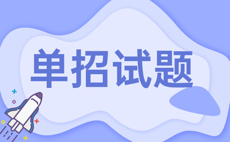 2024年河北工业职业技术大学单招语文模拟试题