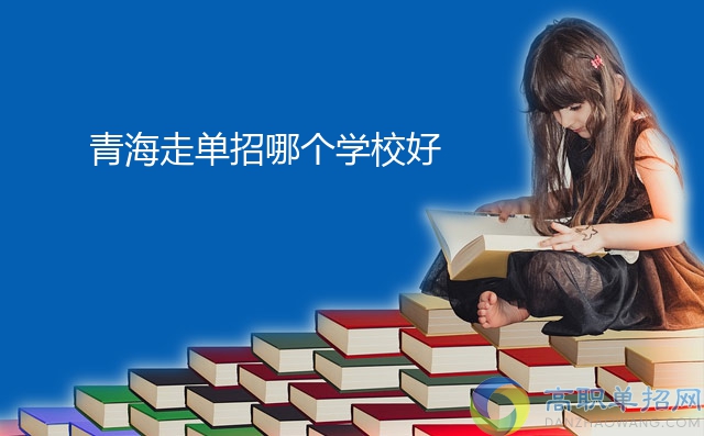 青海走单招哪个学校好